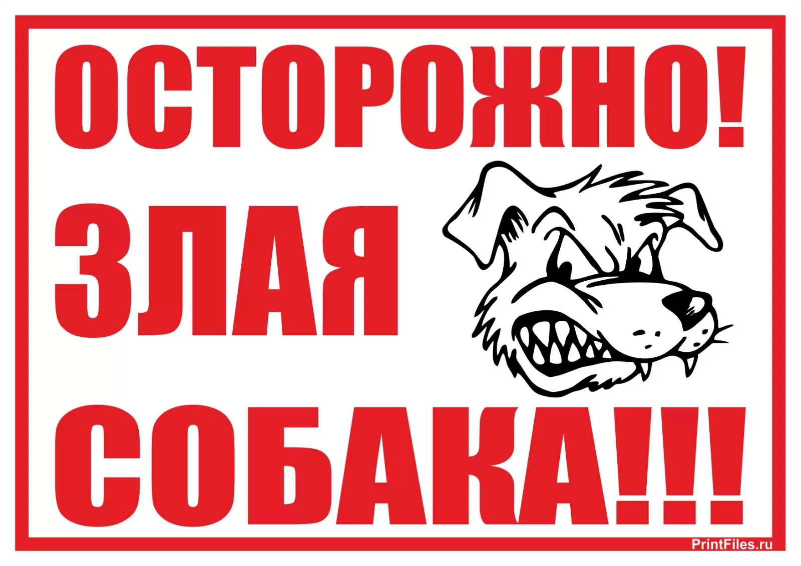 Табличка злая собака купить в интернет-магазине с доставкой в Минске,  Гомеле, Витебске, Могилеве, Бресте, Гродно